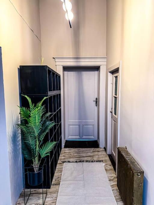 ティミショアラCozy & Charming Apt. Downtownアパートメント エクステリア 写真